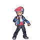 Trainer Picture